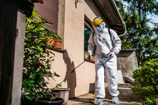 Best Local Pest Control Services  in Bettendorf, IA