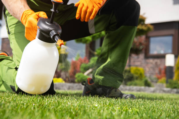 Pest Prevention Services in Bettendorf, IA