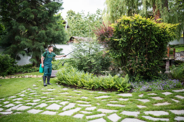 Best Residential Pest Control  in Bettendorf, IA