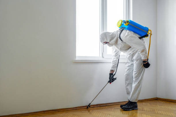 Best Residential Pest Control  in Bettendorf, IA