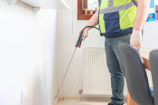 Best Wasp Removal Services  in Bettendorf, IA