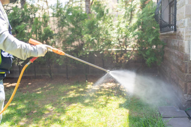Best Bed Bug Extermination  in Bettendorf, IA
