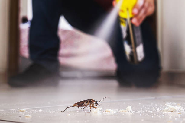 Best Exterminator Services  in Bettendorf, IA