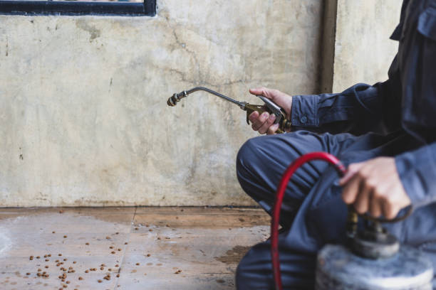 Best Pest Inspection Near Me  in Bettendorf, IA